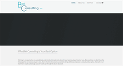 Desktop Screenshot of bielconsulting.com